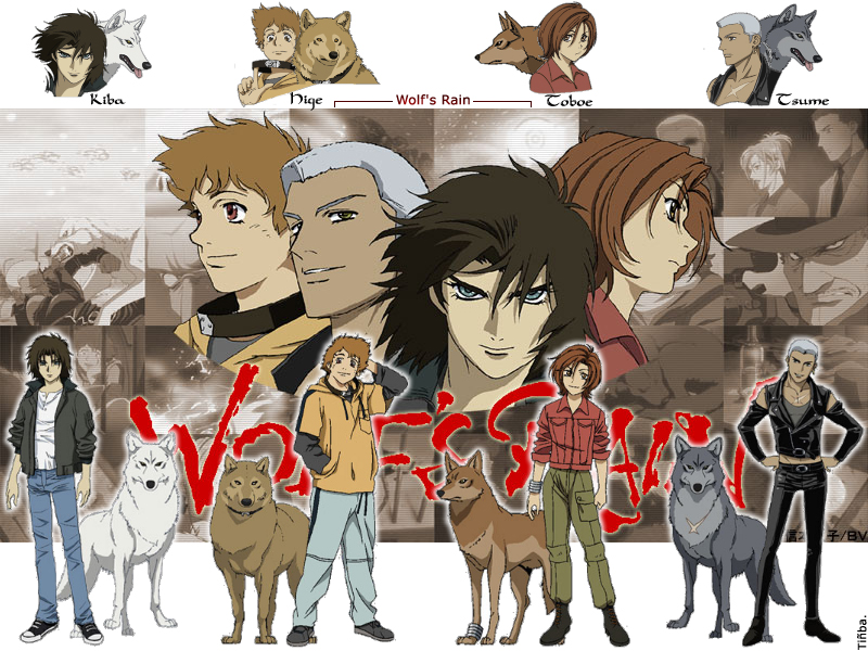 Fonds d'cran Manga Wolf's Rain 