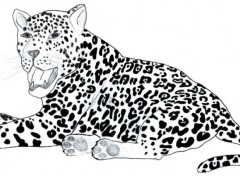 Wallpapers Art - Pencil Jaguar