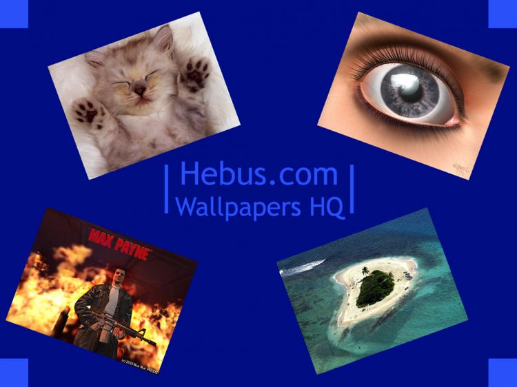 Wallpapers Brands - Advertising Websites - Hebus Hebus.com