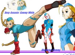 Fonds d'cran Jeux Vido Shadaloo Cammy !