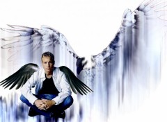 Wallpapers Music Guardian Angel