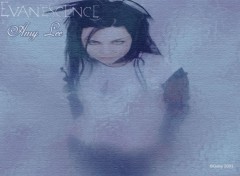 Fonds d'cran Musique Amy Lee