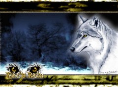 Wallpapers Animals Wolf's rain