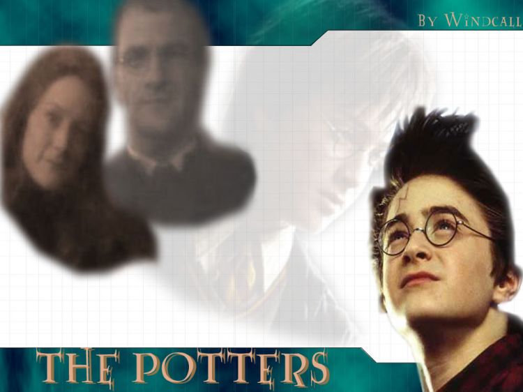 Fonds d'cran Cinma Harry Potter et la Chambre des Secrets (II) The Potters