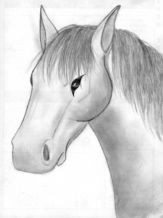 Wallpapers Art - Pencil Animals - Horses cheval