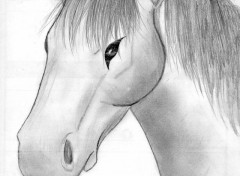 Wallpapers Art - Pencil cheval