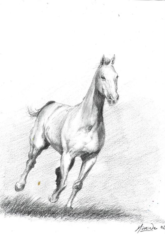 Fonds d'cran Art - Crayon Animaux - Chevaux un ti cheval qui court qui courrrrrt !...