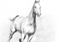 Fonds d'cran Art - Crayon un ti cheval qui court qui courrrrrt !...