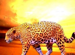 Wallpapers Digital Art Africa