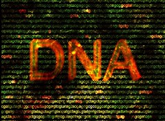 Wallpapers Digital Art DNA