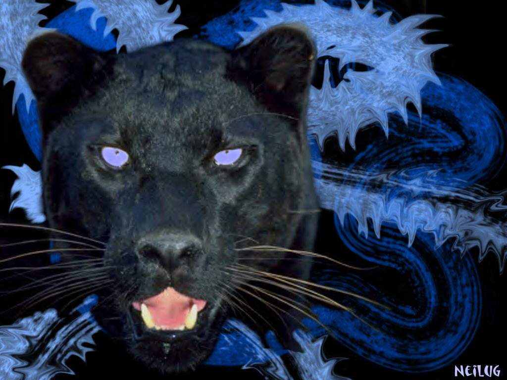 Fonds d'cran Art - Numrique Animaux Black Panther