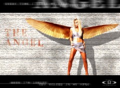 Wallpapers Celebrities Women The angel Caprice