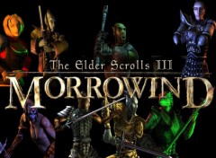 Fonds d'cran Jeux Vido The elders scroll 3: MORROWIND