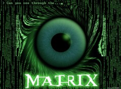 Fonds d'cran Cinma Through the Matrix