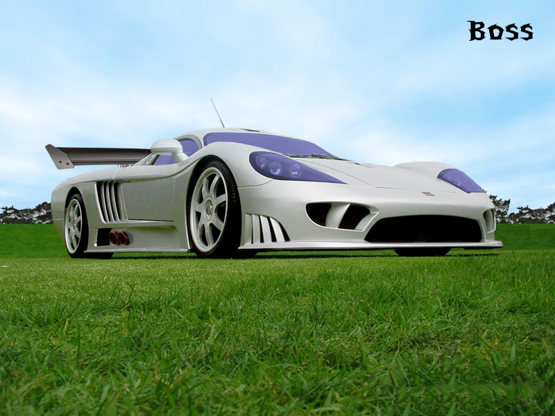 Fonds d'cran Voitures Tuning saleen_boss