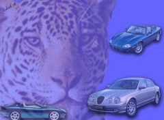 Fonds d'cran Voitures jaguar