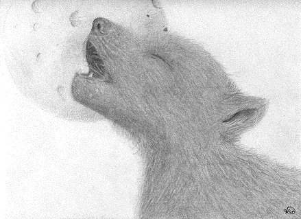 Wallpapers Art - Pencil Animals - Wolves louvetaux