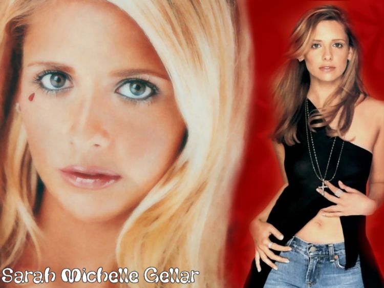 Wallpapers Celebrities Women Sarah Michelle Gellar Smg 1