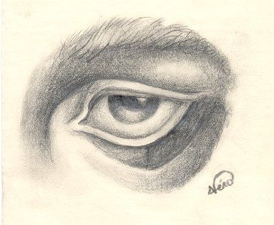 Wallpapers Art - Pencil Eyes oeil