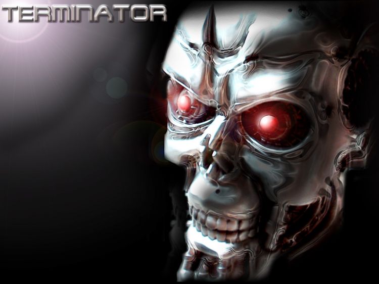 Wallpapers Movies The Terminator T.head