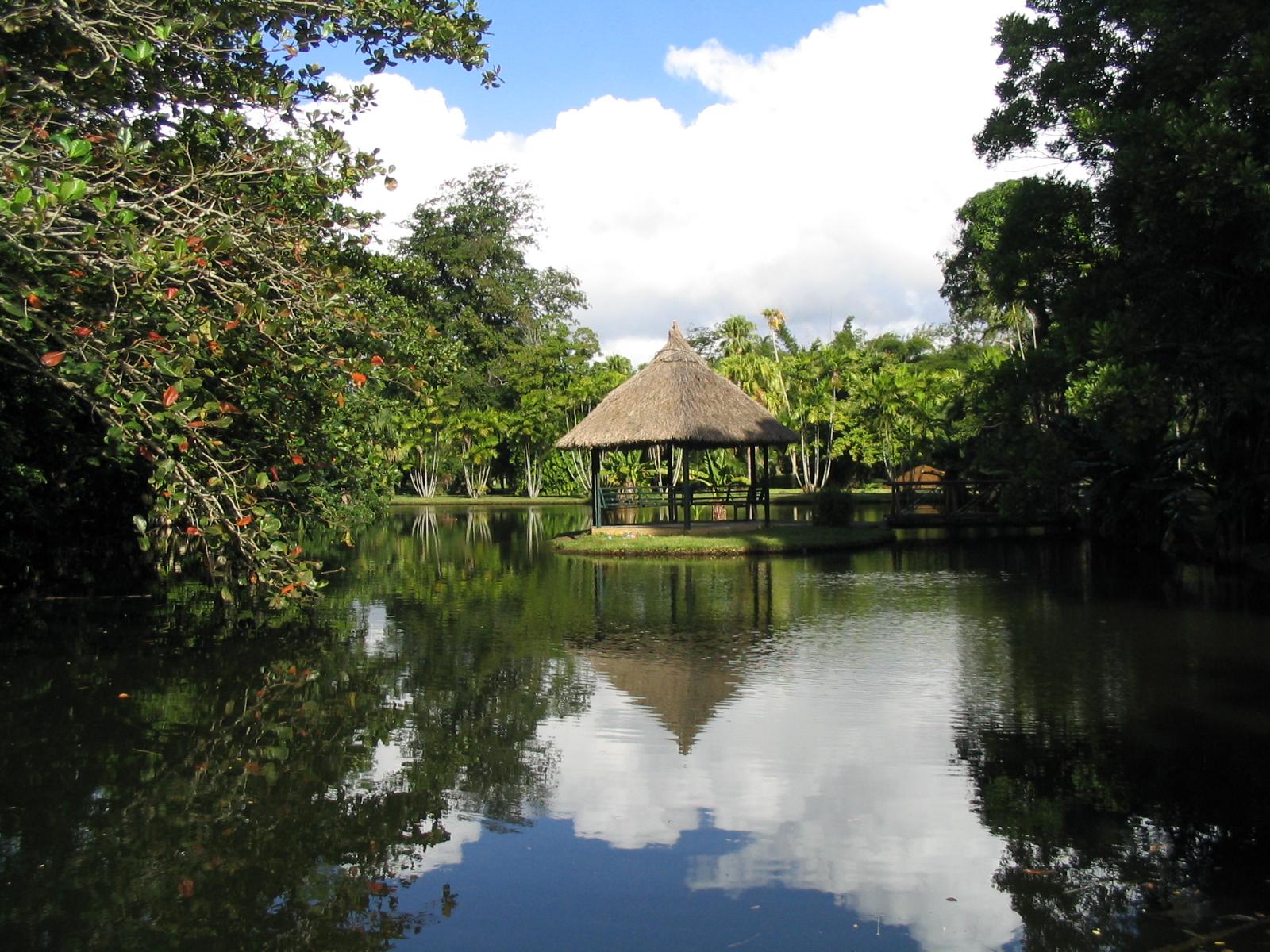 Wallpapers Nature Parks - Gardens Ile Maurice - le jardin de Pamplemousse