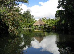 Wallpapers Nature Ile Maurice - le jardin de Pamplemousse