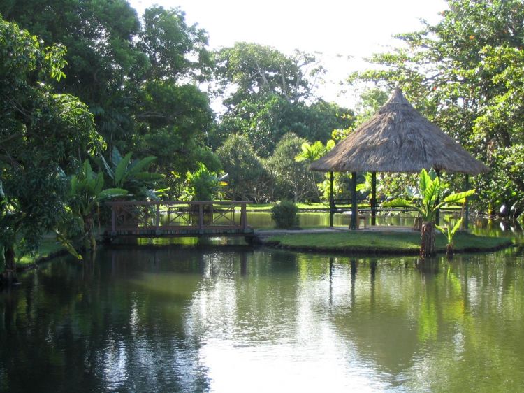 Wallpapers Nature Parks - Gardens Ile Maurice - le jardin de Pamplemousse