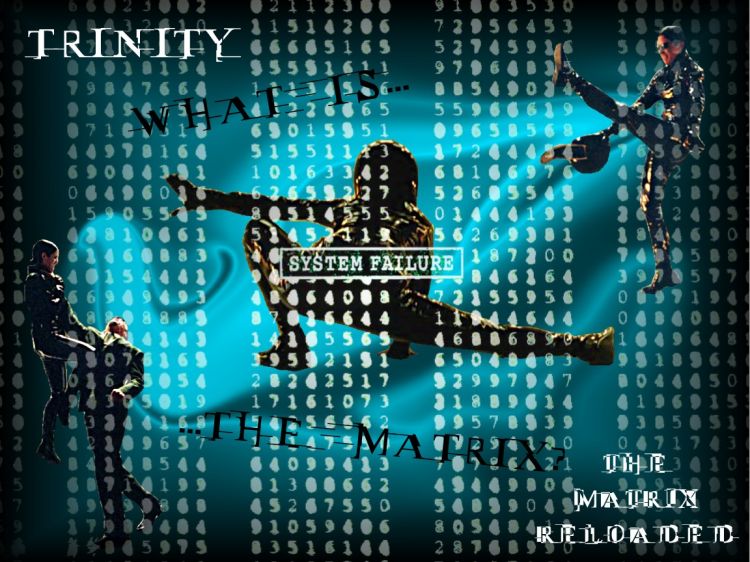 Wallpapers Movies Matrix 2 Reloaded Trinity