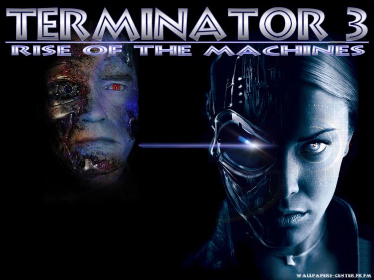 Fonds d'cran Cinma Terminator 3 - le Soulvement des Machines Terminator3_composition