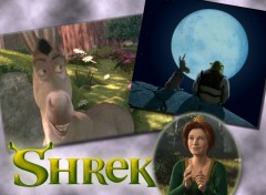 Wallpapers Cartoons Shrek & Co