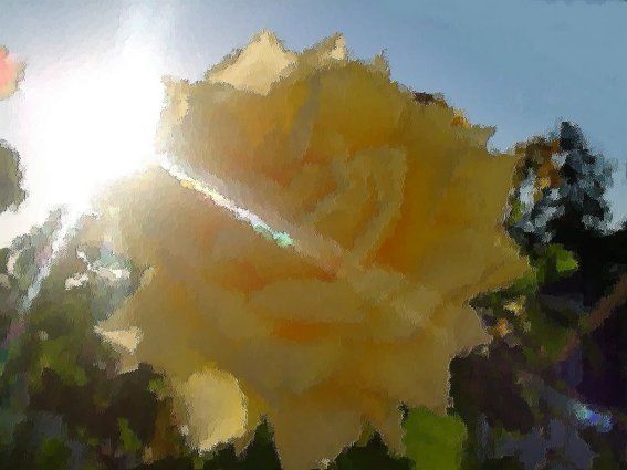 Wallpapers Digital Art Nature - Flowers rose jaune