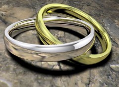 Fonds d'cran Art - Numrique Gold & Silver Rings