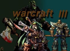 Fonds d'cran Jeux Vido warcraft 3