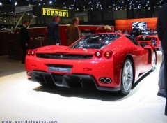 Wallpapers Cars Ferrari  Enzo Salon de Geneve 2003