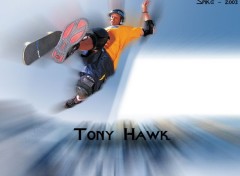 Wallpapers Sports - Leisures Tony Hawk