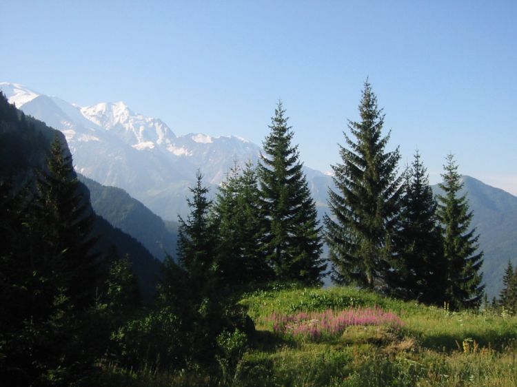 Fonds d'cran Nature Montagnes Mont Blanc