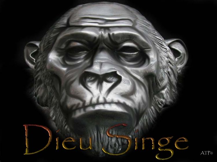 Fonds d'cran Animaux Singes Dieu Singe