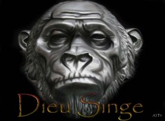 Wallpapers Animals Dieu Singe