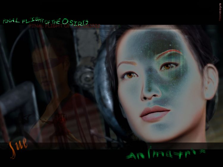 Wallpapers Movies Animatrix JUE