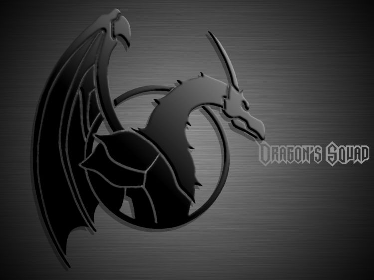 Wallpapers Fantasy and Science Fiction Miscellaneous Dragon's Squad