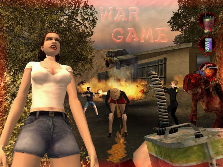 Fonds d'cran Jeux Vido Postal 2 Wargame