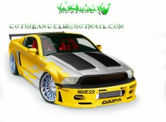 Wallpapers Cars mustang GTR 2003