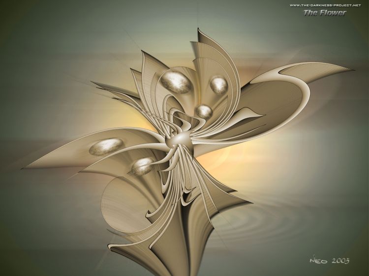 Wallpapers Digital Art Abstract The Flower