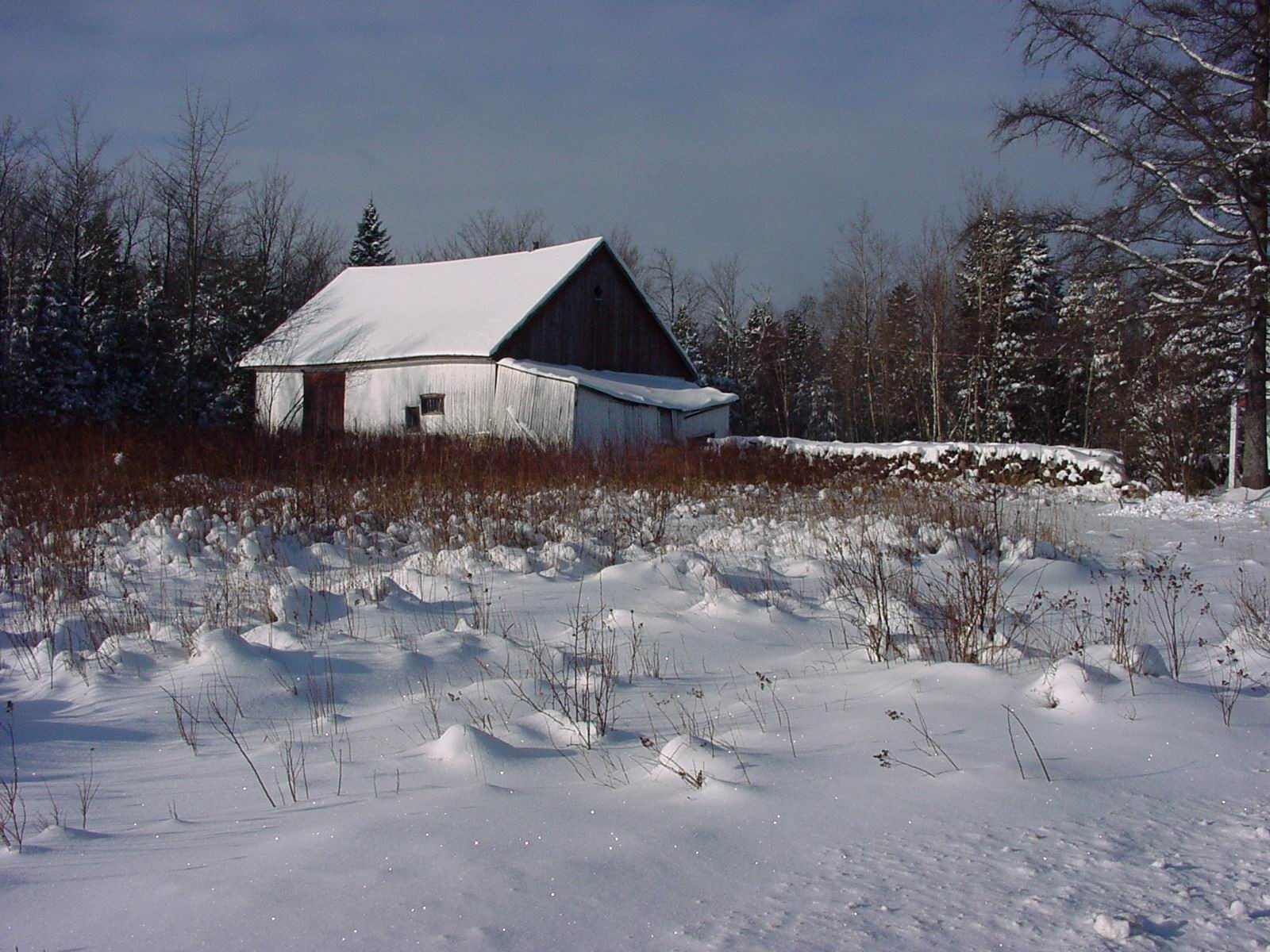 Fonds d'cran Nature Saisons - Hiver Neige Qubcoise