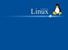 Fonds d'cran Informatique Linux for XP