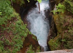 Fonds d'cran Nature Torrent