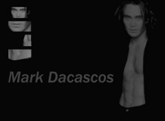 Fonds d'cran Clbrits Homme Mark Dacascos