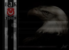 Wallpapers Sports - Leisures besiktas  turkish team