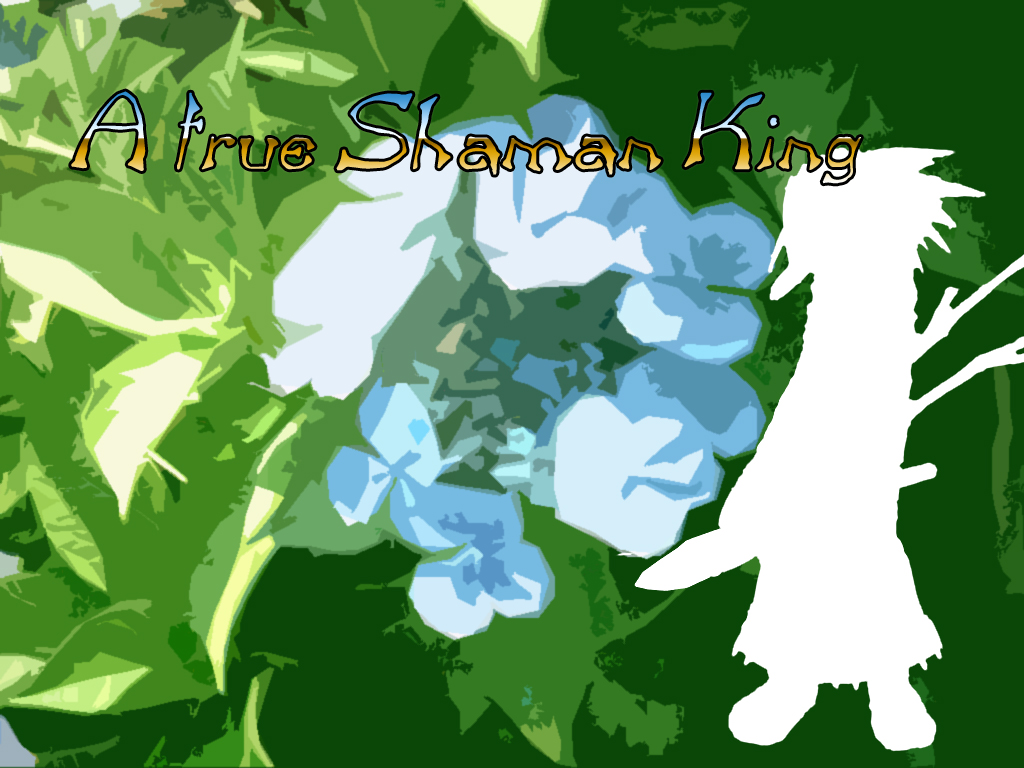 Fonds d'cran Manga Shaman King A True Shaman King