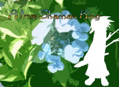 Fonds d'cran Manga A True Shaman King